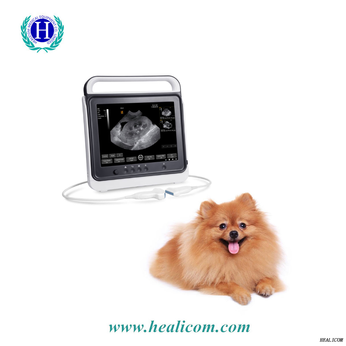 Sistema de máquina de diagnóstico de escáner de ultrasonido portátil HV-50A Vet Touch B / W