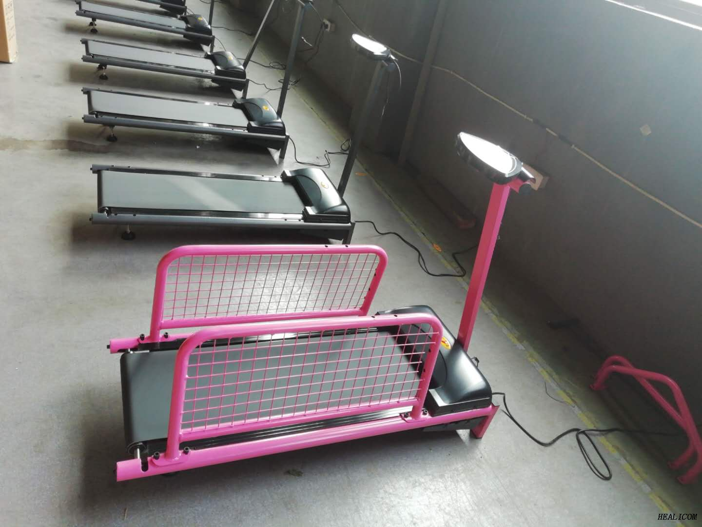 Cinta de correr eléctrica del animal doméstico de la máquina del deporte WT-C100 del precio de fábrica para la venta