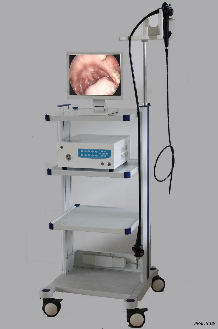 Videoendoscopio veterinario médico de alta calidad para animales pequeños WET-6000