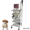 Alta calidad WTE-9000A 19 '' Monitor LCD Video Trolley Endoscopio Proceso y fuente de luz Endoscopio veterinario